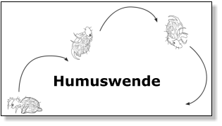 Humuswende