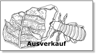 Ausverkauf