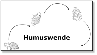 Humuswende