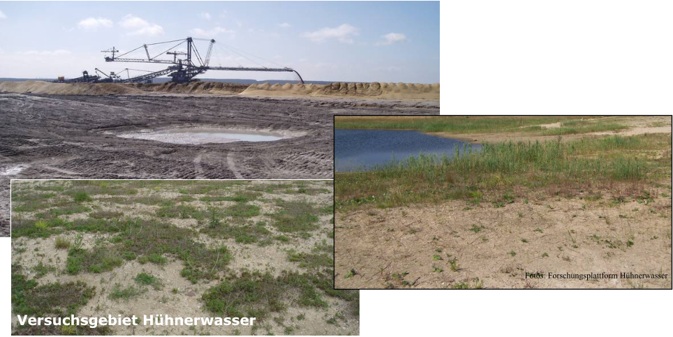 Versuchsgebiet Hühnerwasser Fotos: Forschungsplattform Hühnerwasser