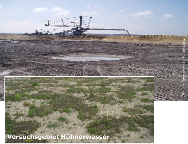 Versuchsgebiet Hühnerwasser Fotos: Forschungsplattform Hühnerwasser